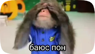 🙈