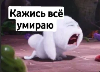 🫤