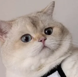 😳