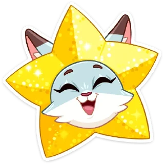🌟