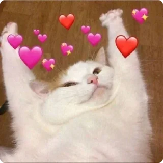 😻