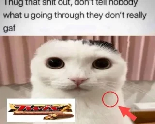 ☃️