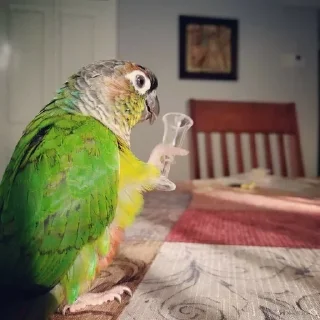 🍻