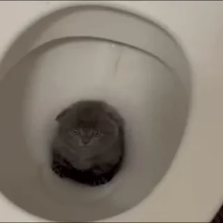 🫤