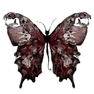 🦋