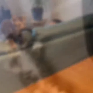 🤩