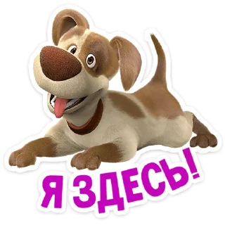 👋