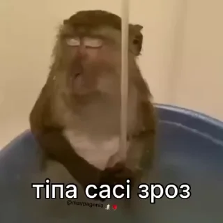 🚰