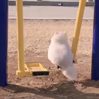 😙