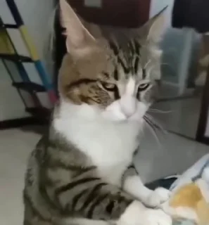 😒