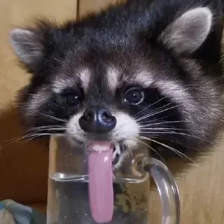 😝