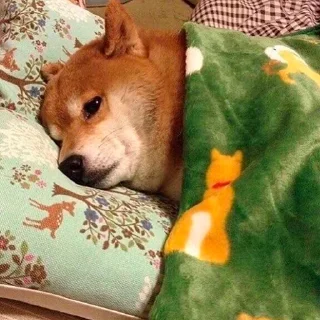 ☹️