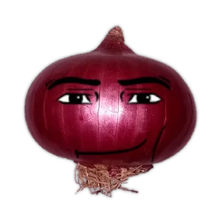 🧅