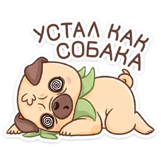 🐶