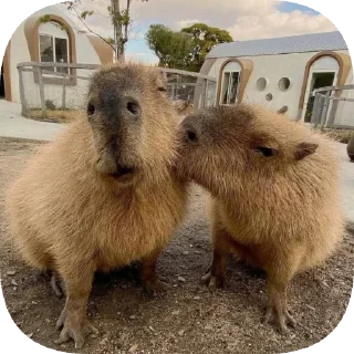 😚
