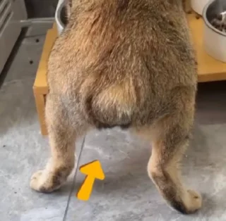 😨