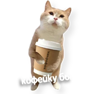 ☕️
