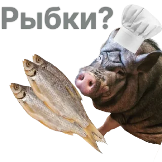 🐟