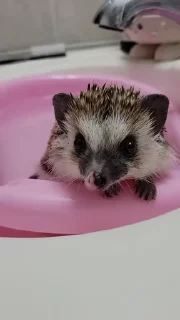 ☺