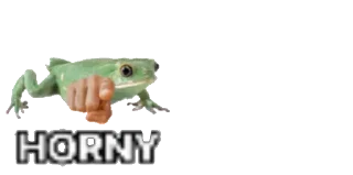🐈