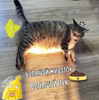 🤭
