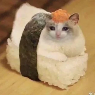 🐾
