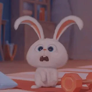 🐰