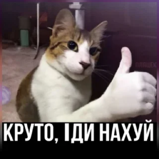 👍