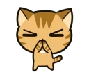 🐱