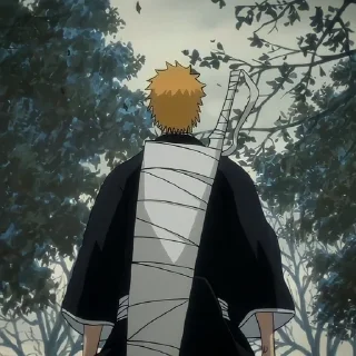 Ichigo by @seireitei_tsushin :: @fStikBot