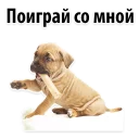 👍