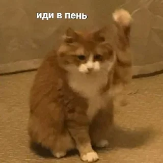 😐