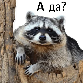 🤨