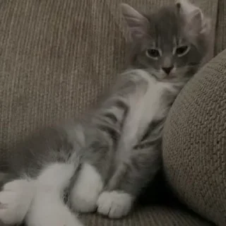 😴