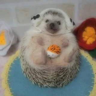 🦔