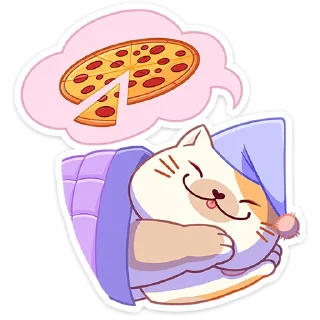🍕