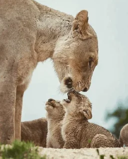 😙
