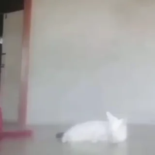 😯