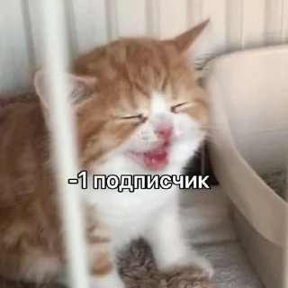 😭