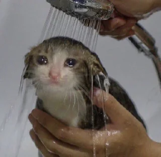🥺