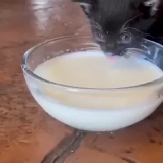 😺