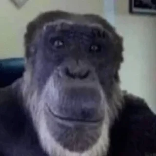 🙂