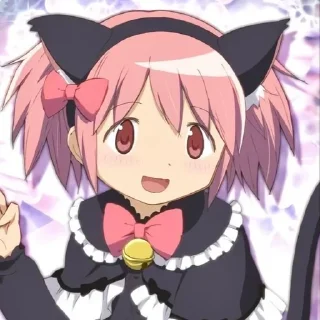 🐱
