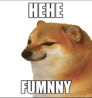 😂