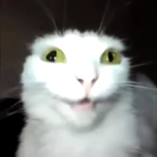 🤔