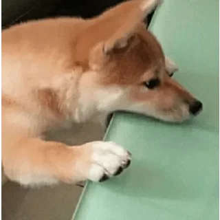 🤐