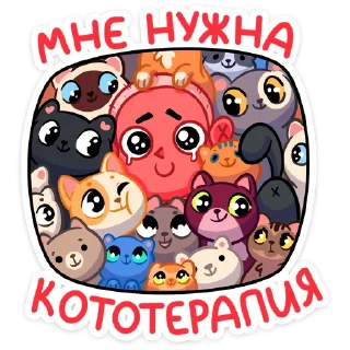 🐈