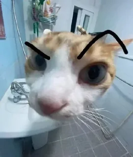 🤨