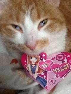 ❤️