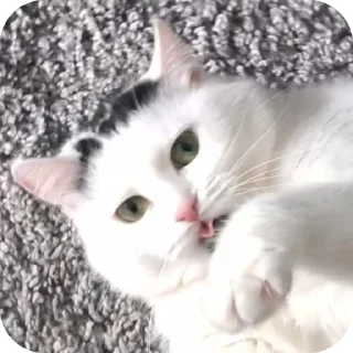 😛